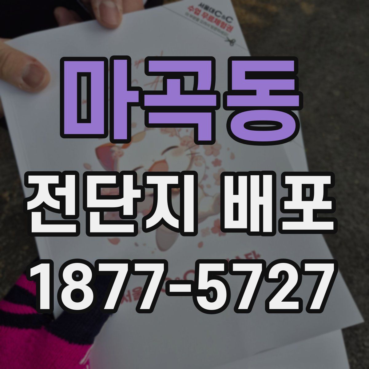 마곡동 전단지 배포
