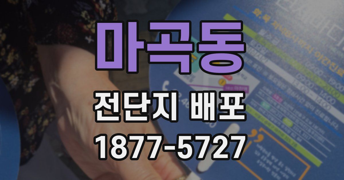 마곡동 전단지 배포