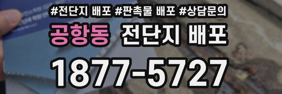 공항동 전단지 배포