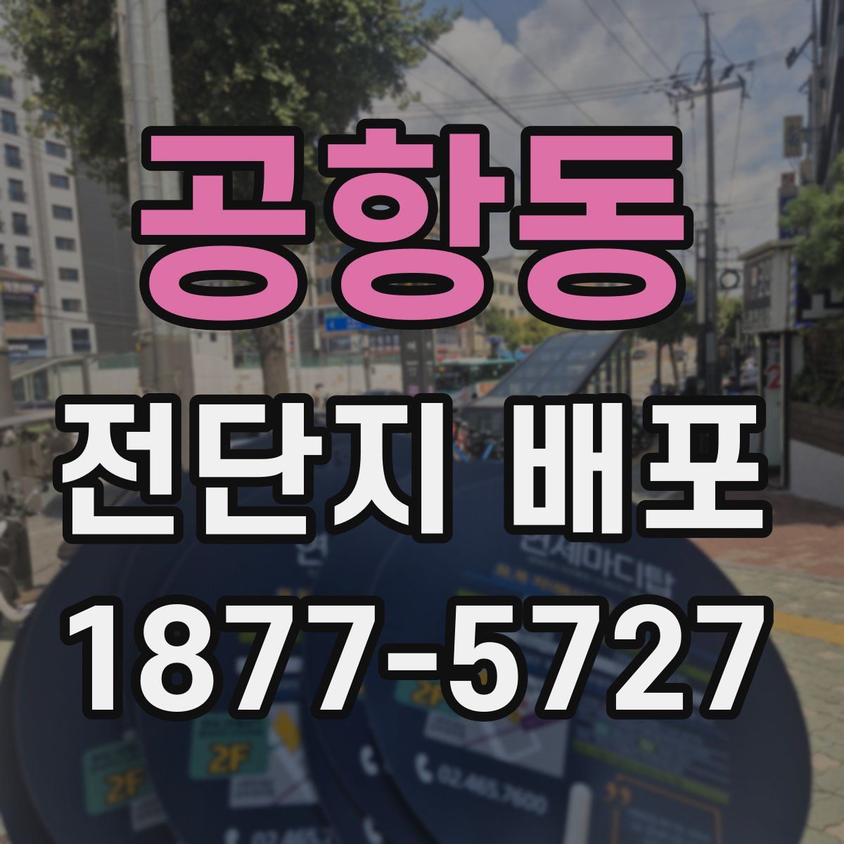 공항동 전단지 배포