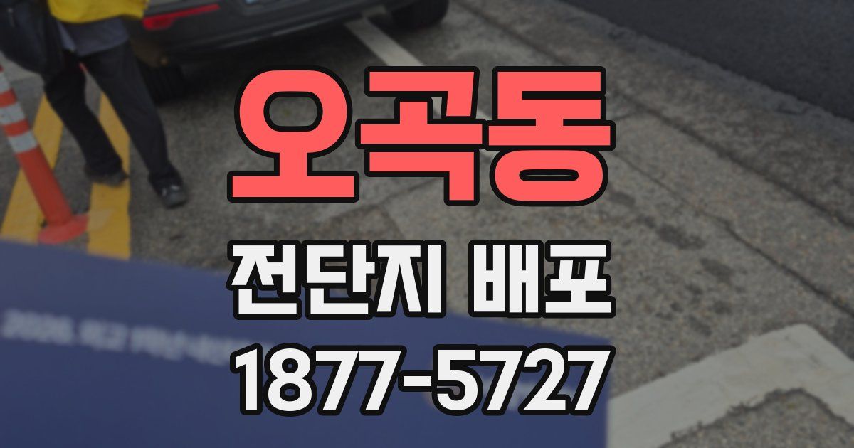 오곡동 전단지 배포