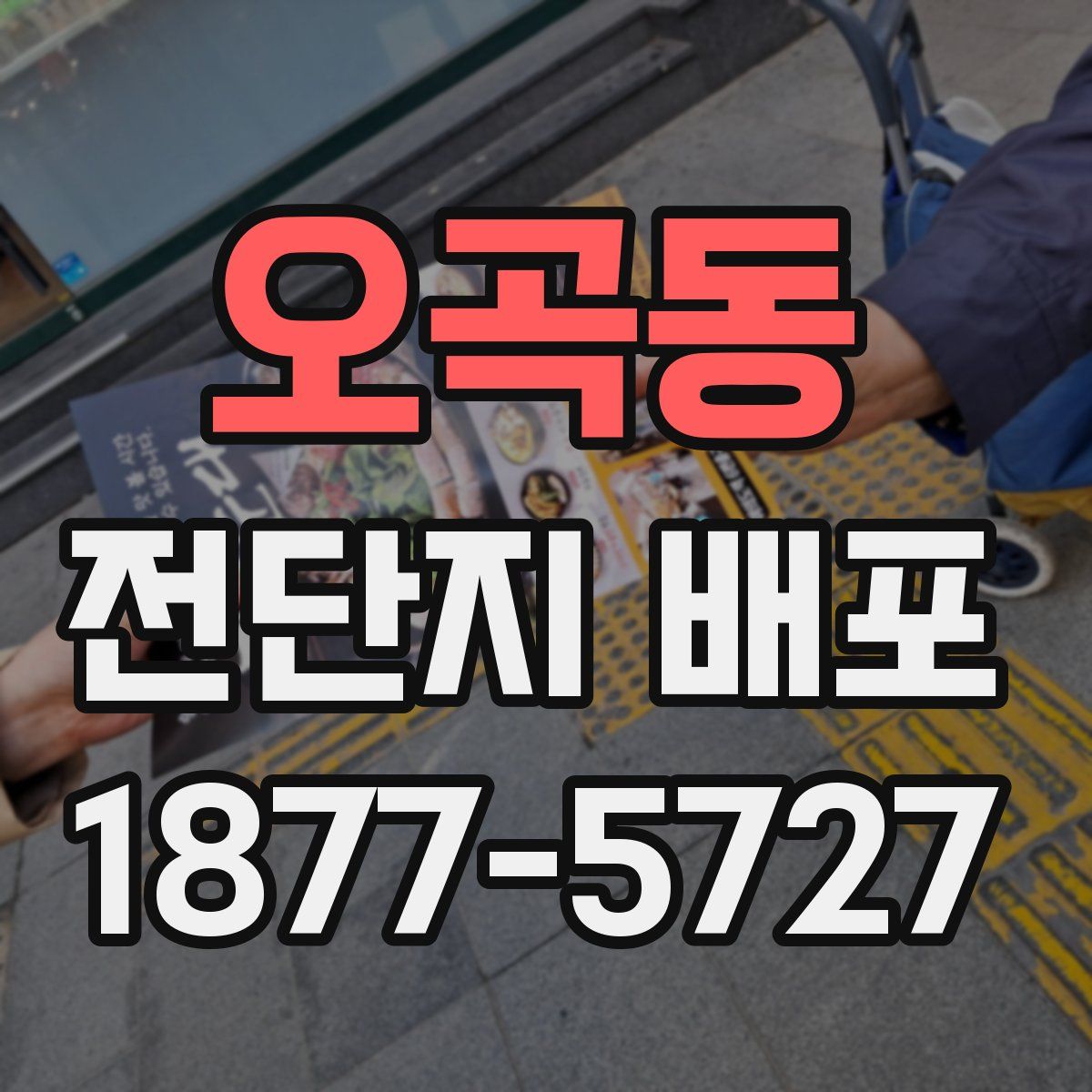 오곡동 전단지 배포