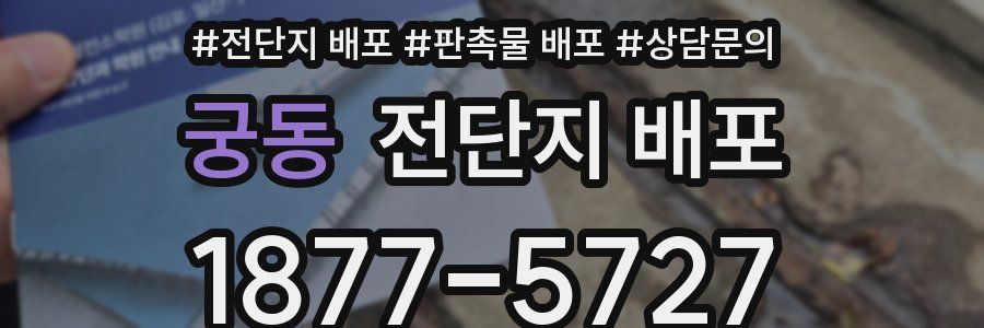 궁동 전단지 배포