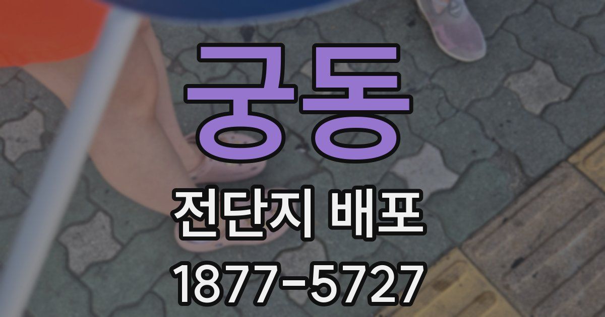 궁동 전단지 배포
