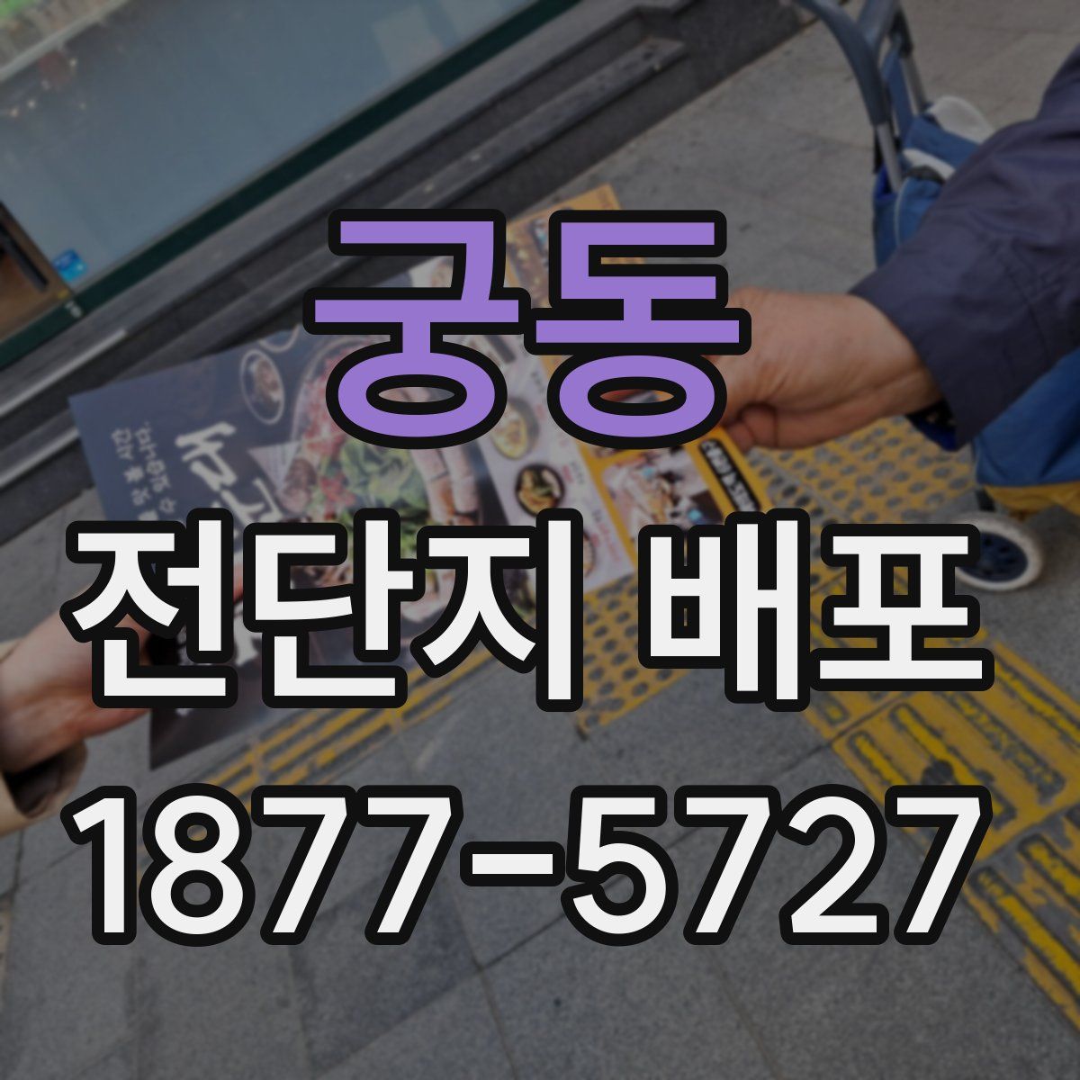 궁동 전단지 배포