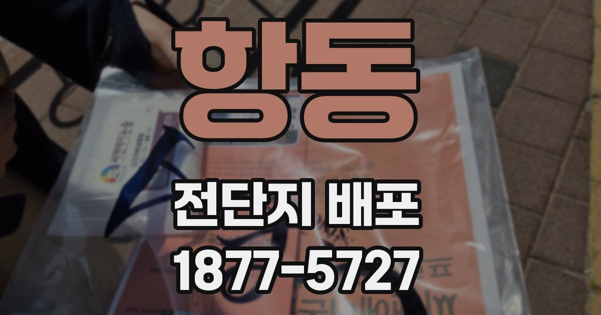 항동 전단지 배포