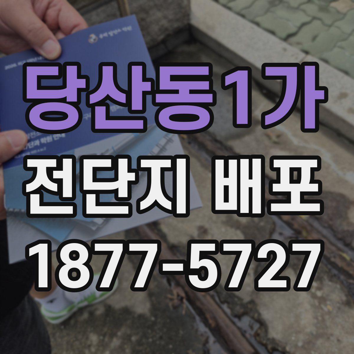 당산동1가 전단지 배포