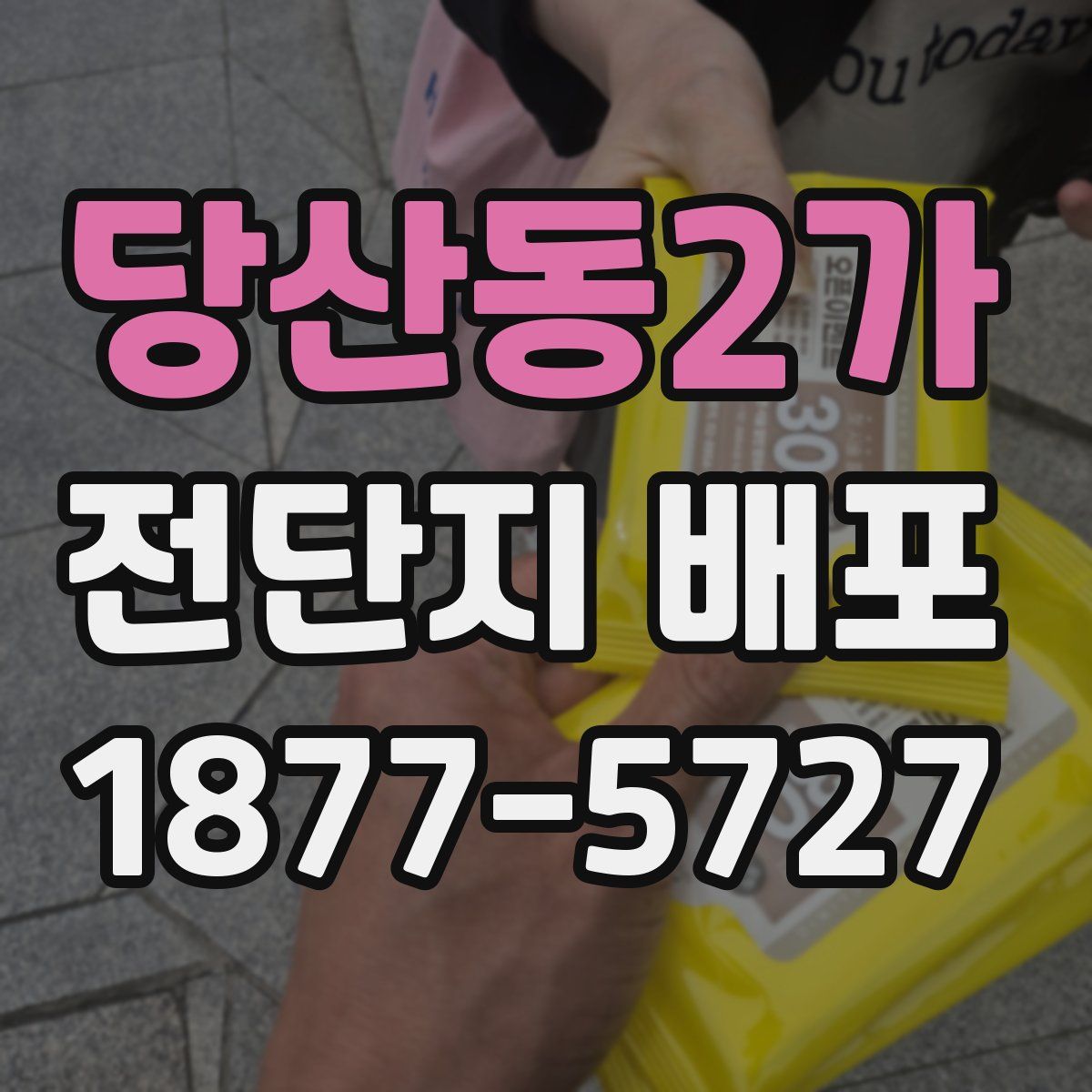 당산동2가 전단지 배포