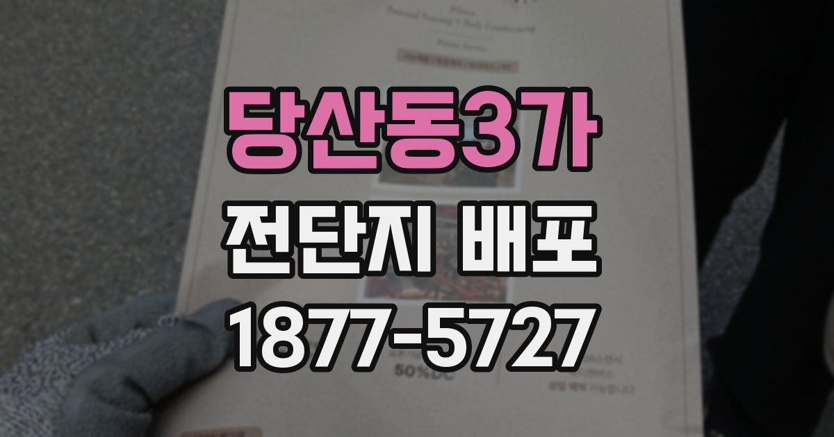당산동3가 전단지 배포