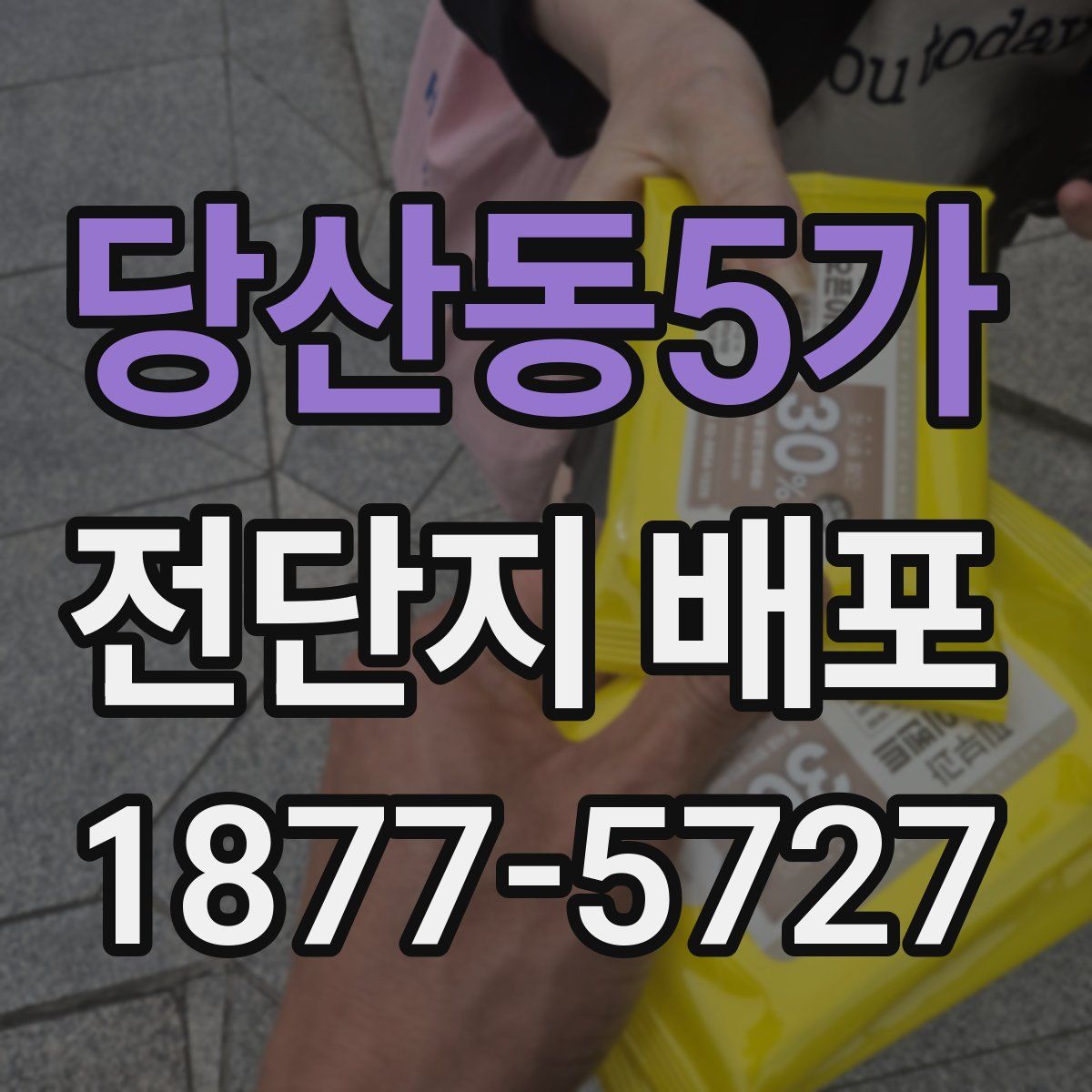 당산동5가 전단지 배포
