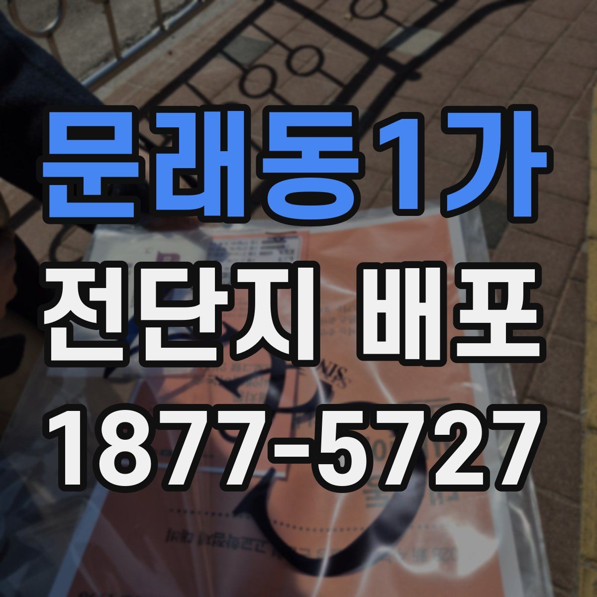 문래동1가 전단지 배포