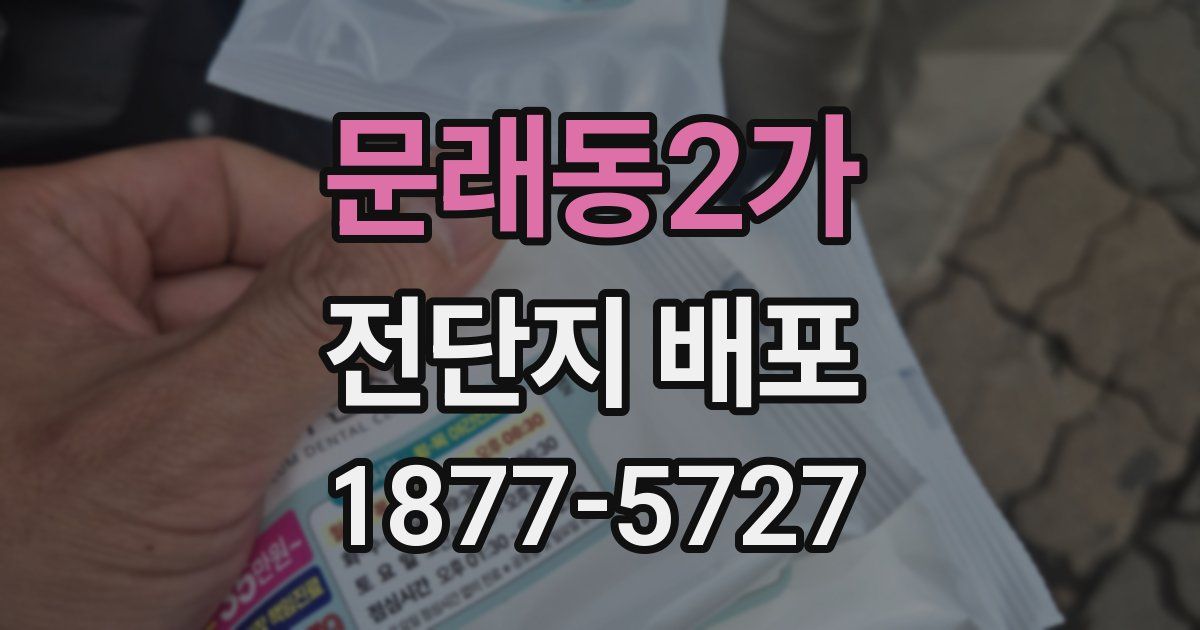 문래동2가 전단지 배포