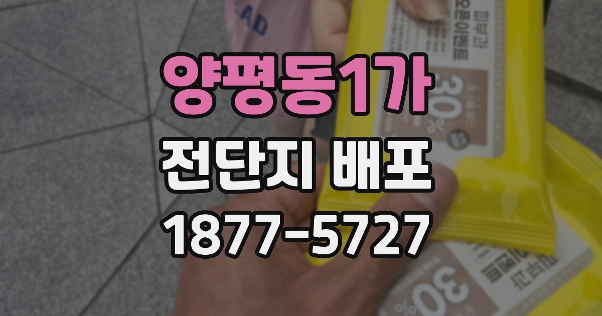양평동1가 전단지 배포
