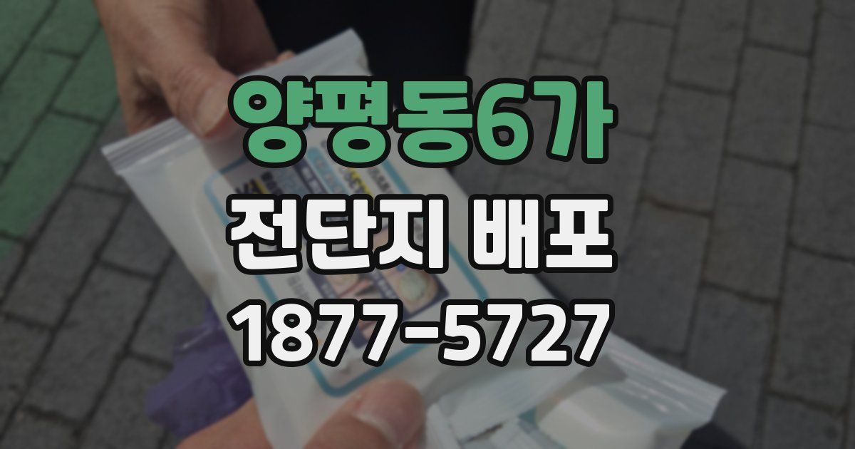 양평동6가 전단지 배포