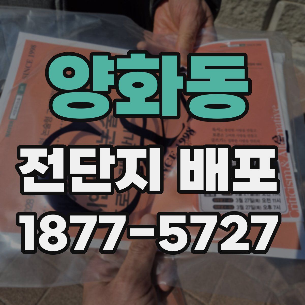 양화동 전단지 배포