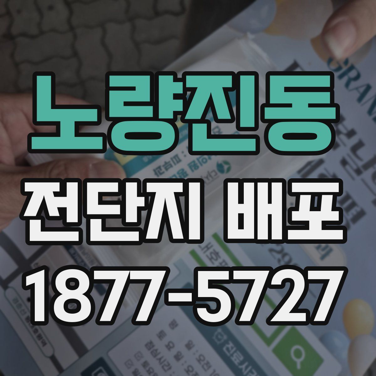 노량진동 전단지 배포
