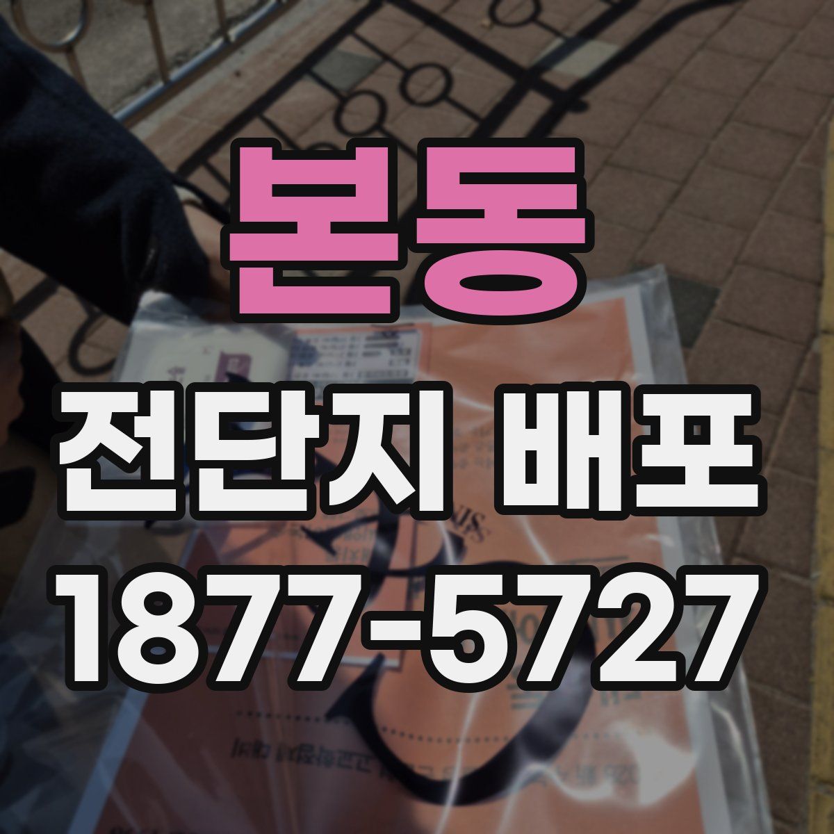 본동 전단지 배포