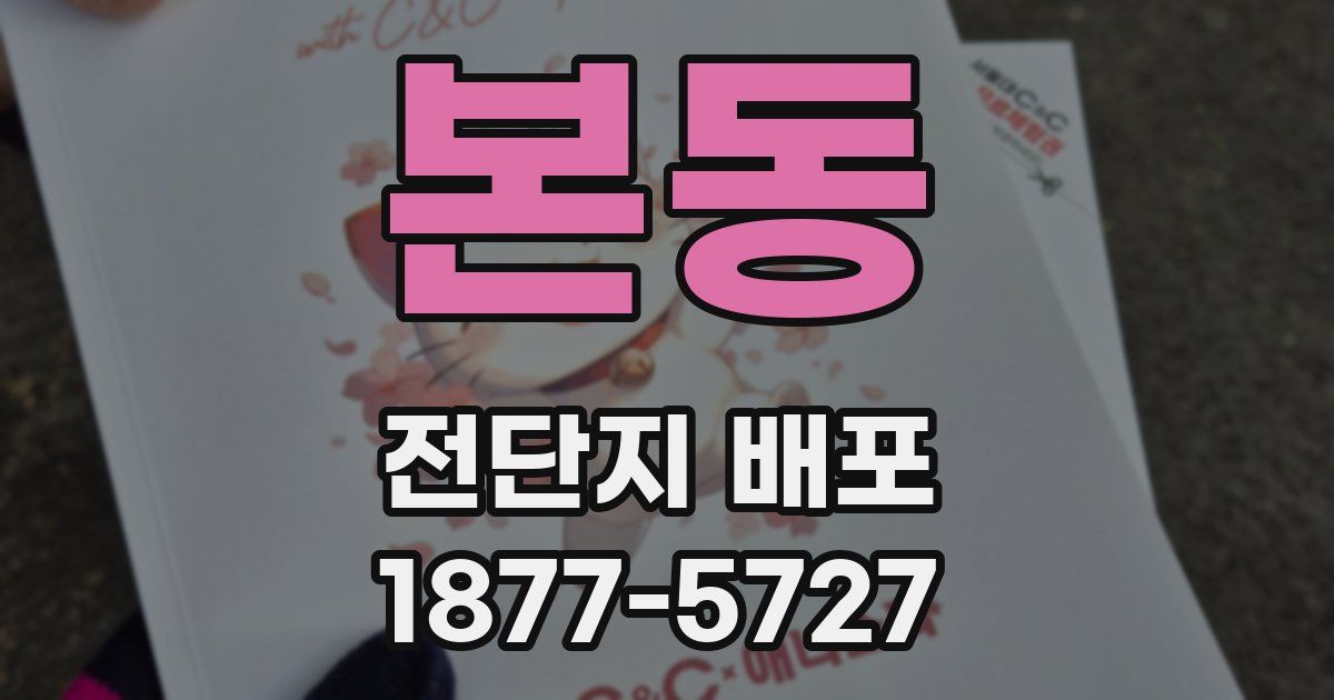 본동 전단지 배포
