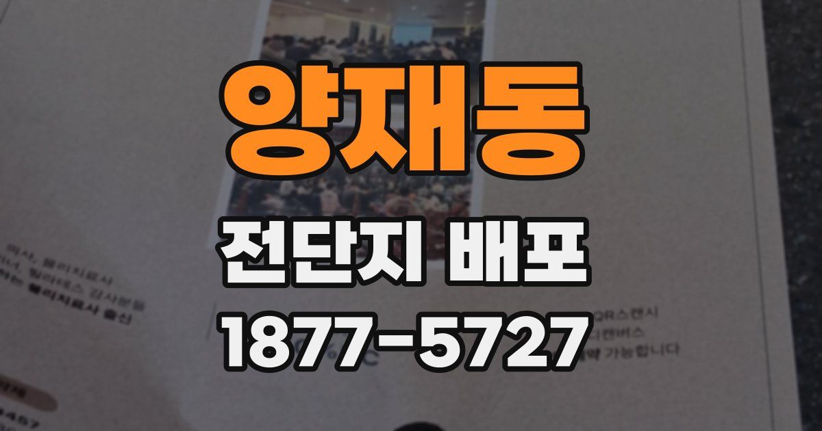양재동 전단지 배포