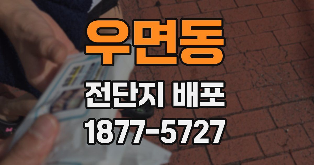 우면동 전단지 배포