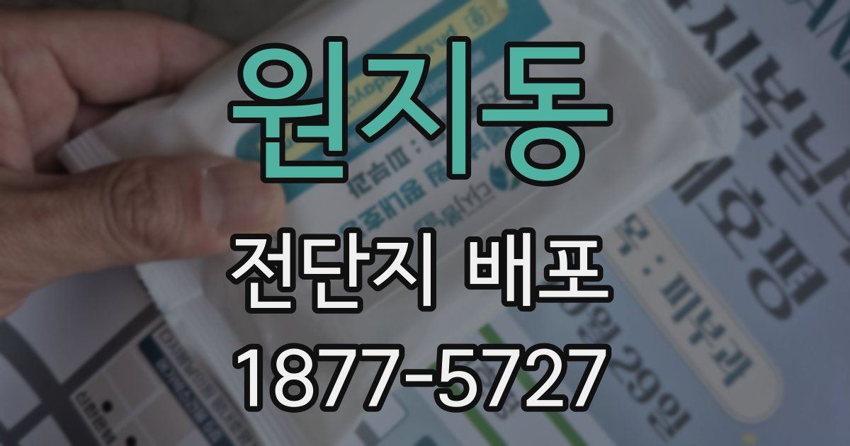 원지동 전단지 배포