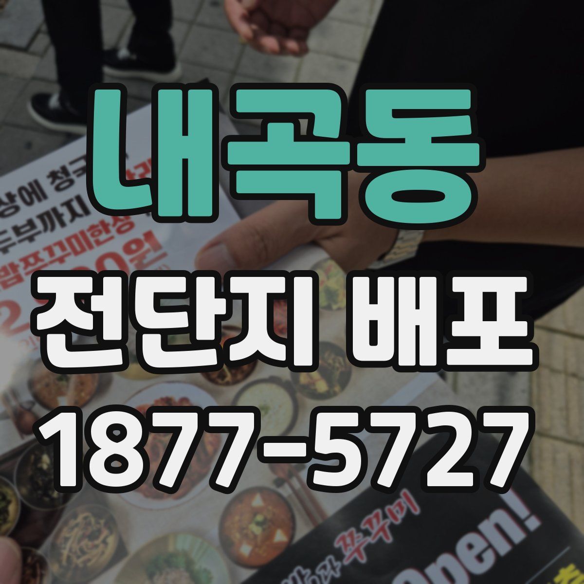내곡동 전단지 배포