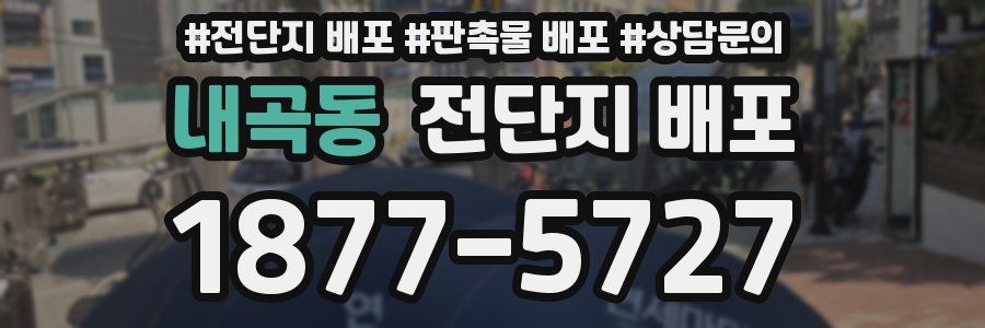 내곡동 전단지 배포