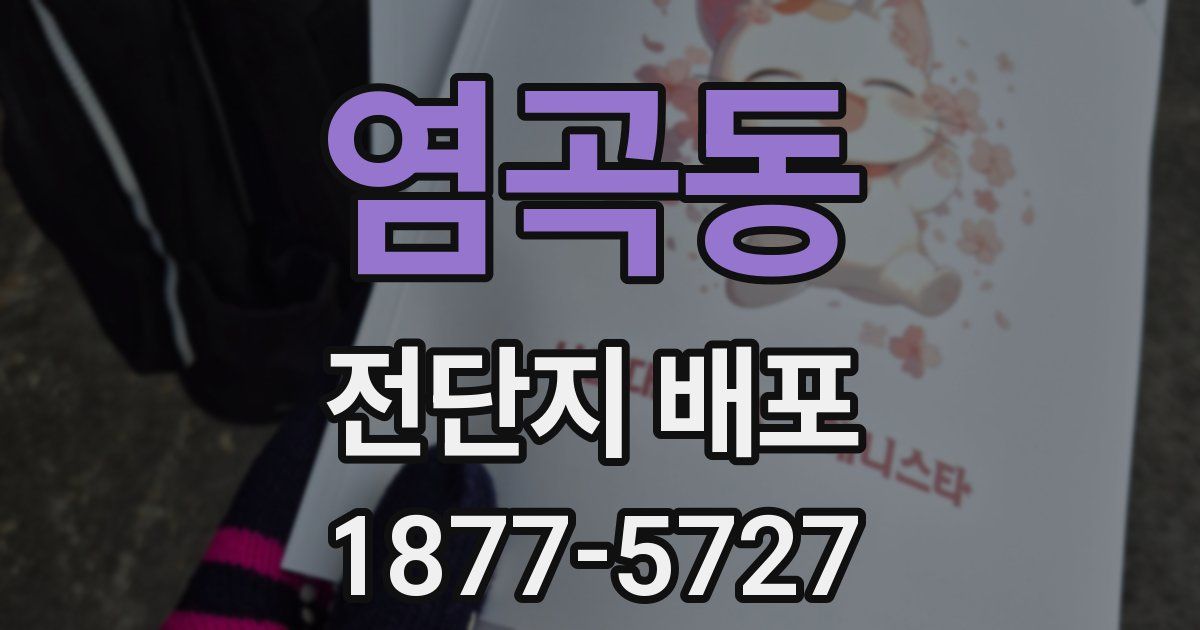염곡동 전단지 배포