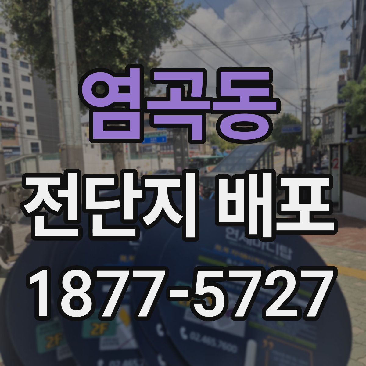 염곡동 전단지 배포