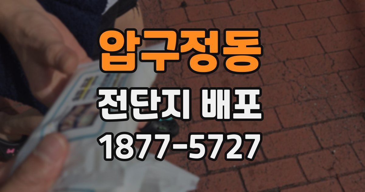 압구정동 전단지 배포
