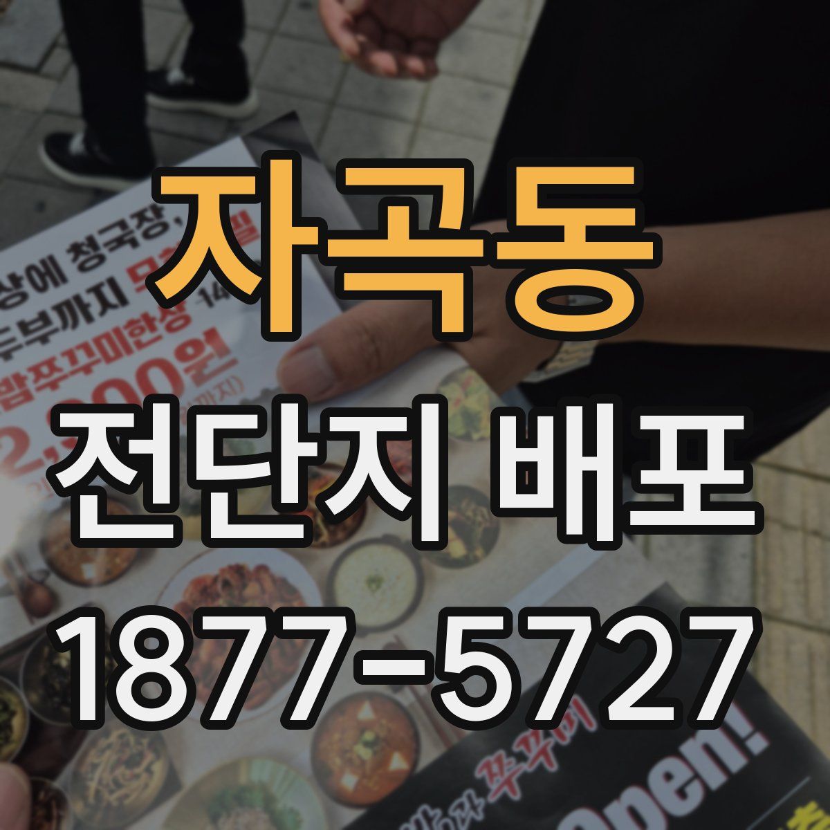 자곡동 전단지 배포