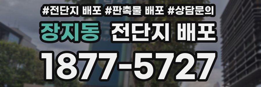 장지동 전단지 배포