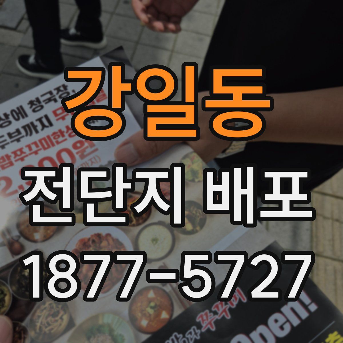 강일동 전단지 배포