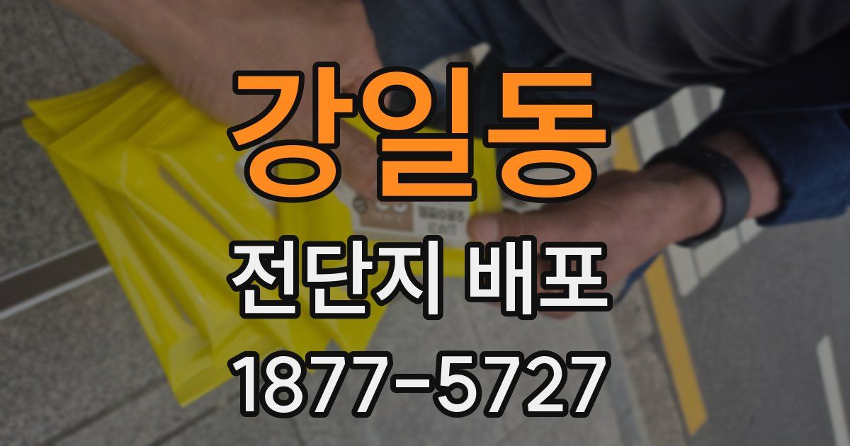강일동 전단지 배포