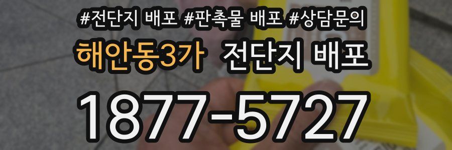 해안동3가 전단지 배포