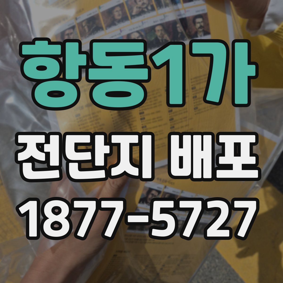 항동1가 전단지 배포