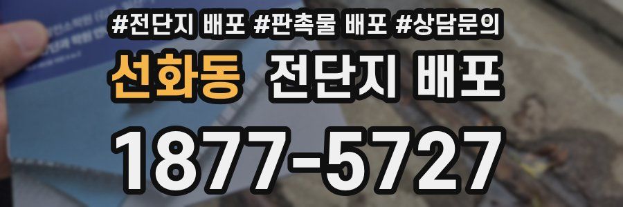 선화동 전단지 배포