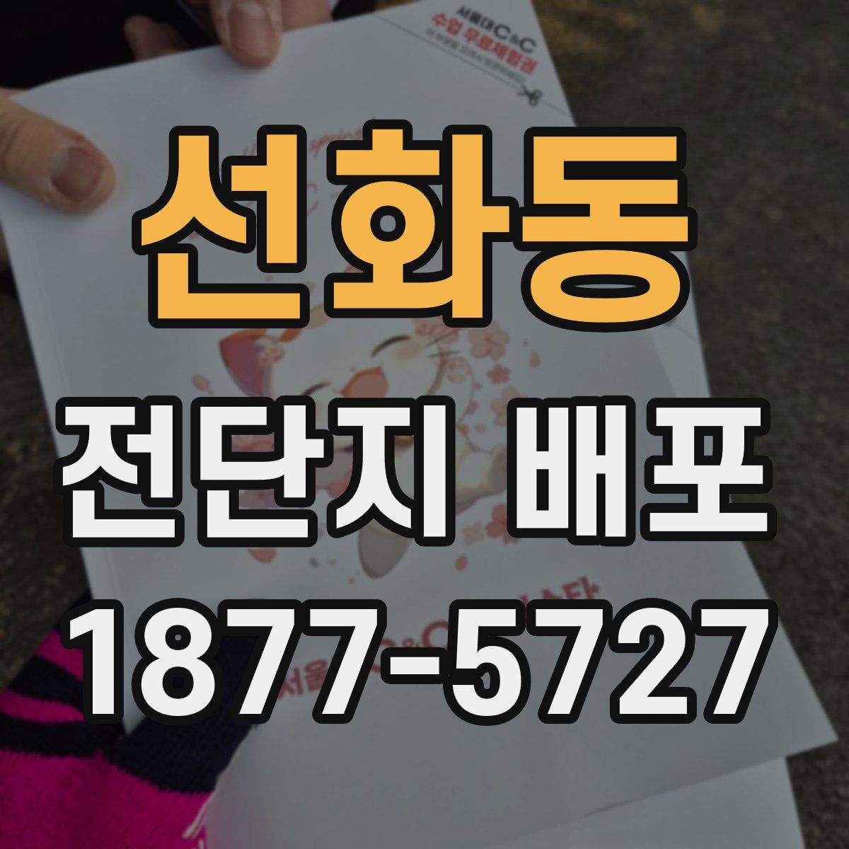 선화동 전단지 배포
