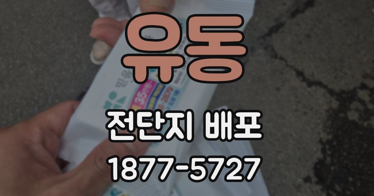 유동 전단지 배포