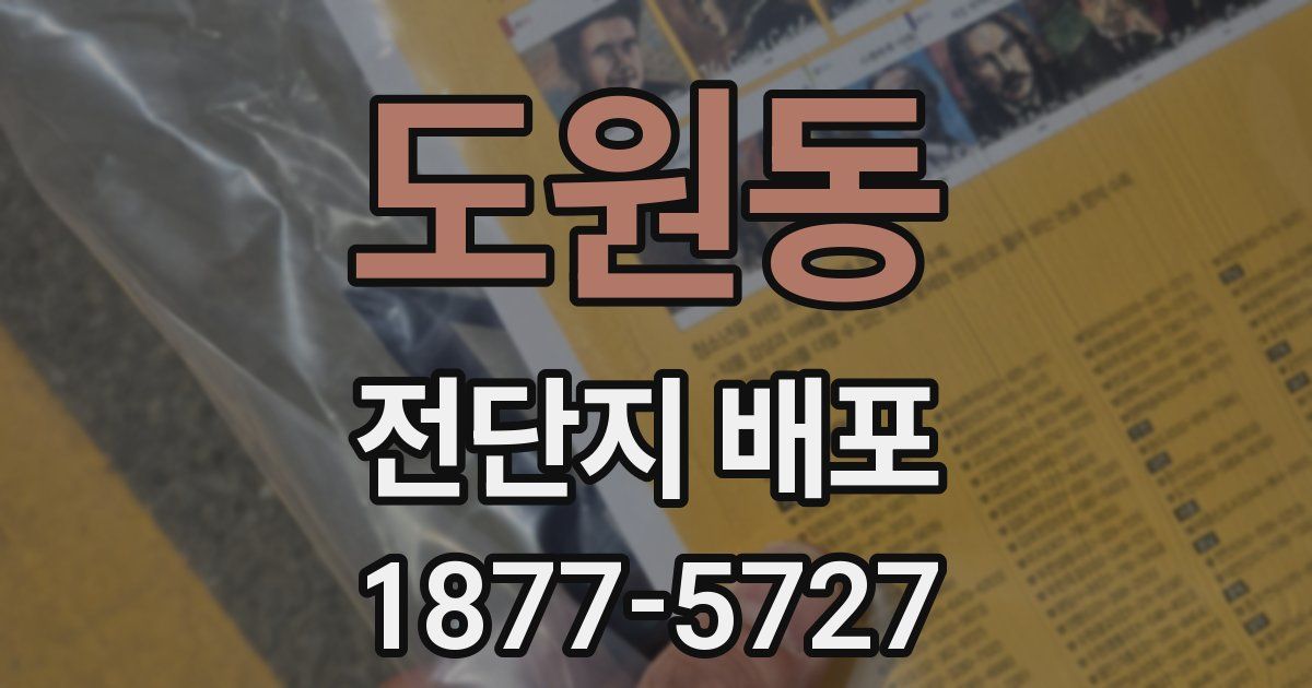 도원동 전단지 배포