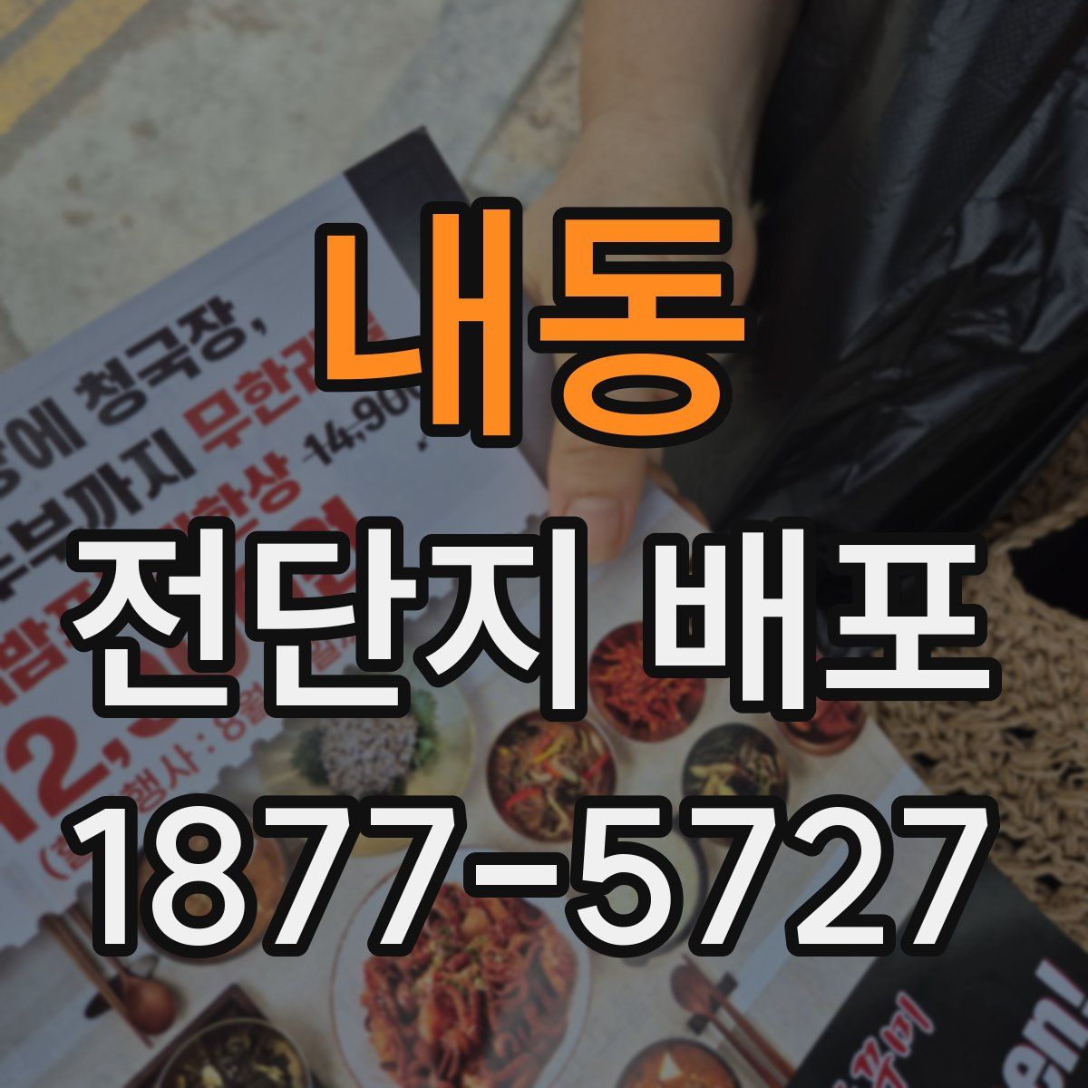 내동 전단지 배포