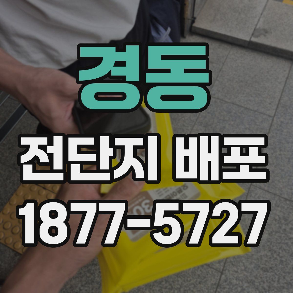 경동 전단지 배포
