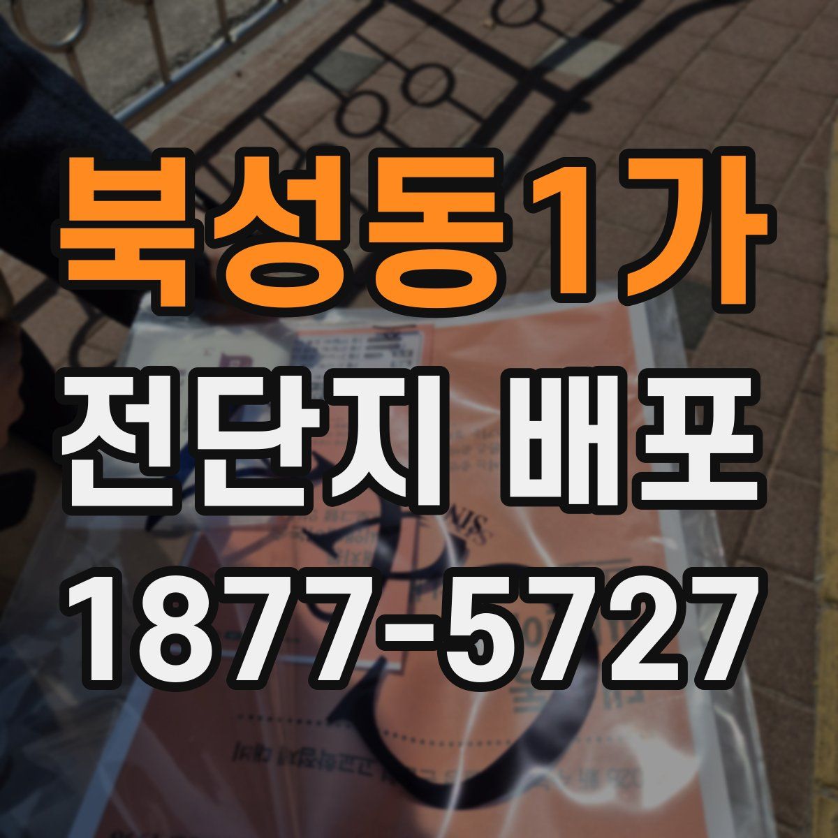 북성동1가 전단지 배포