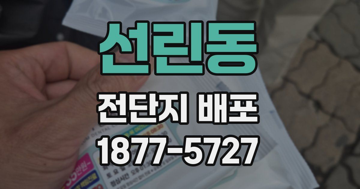 선린동 전단지 배포