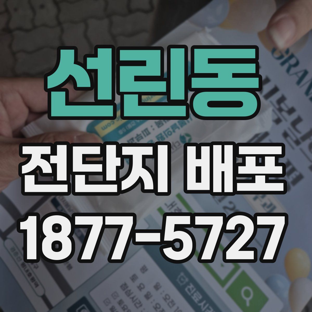 선린동 전단지 배포