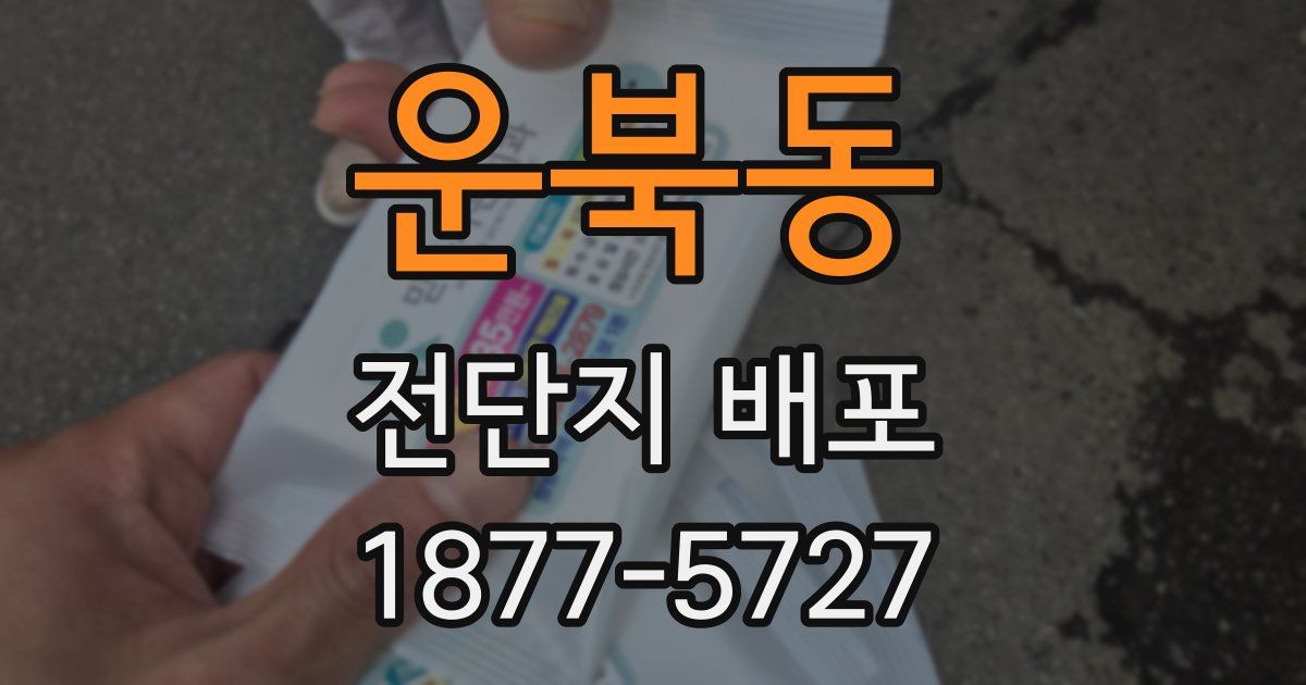 운북동 전단지 배포