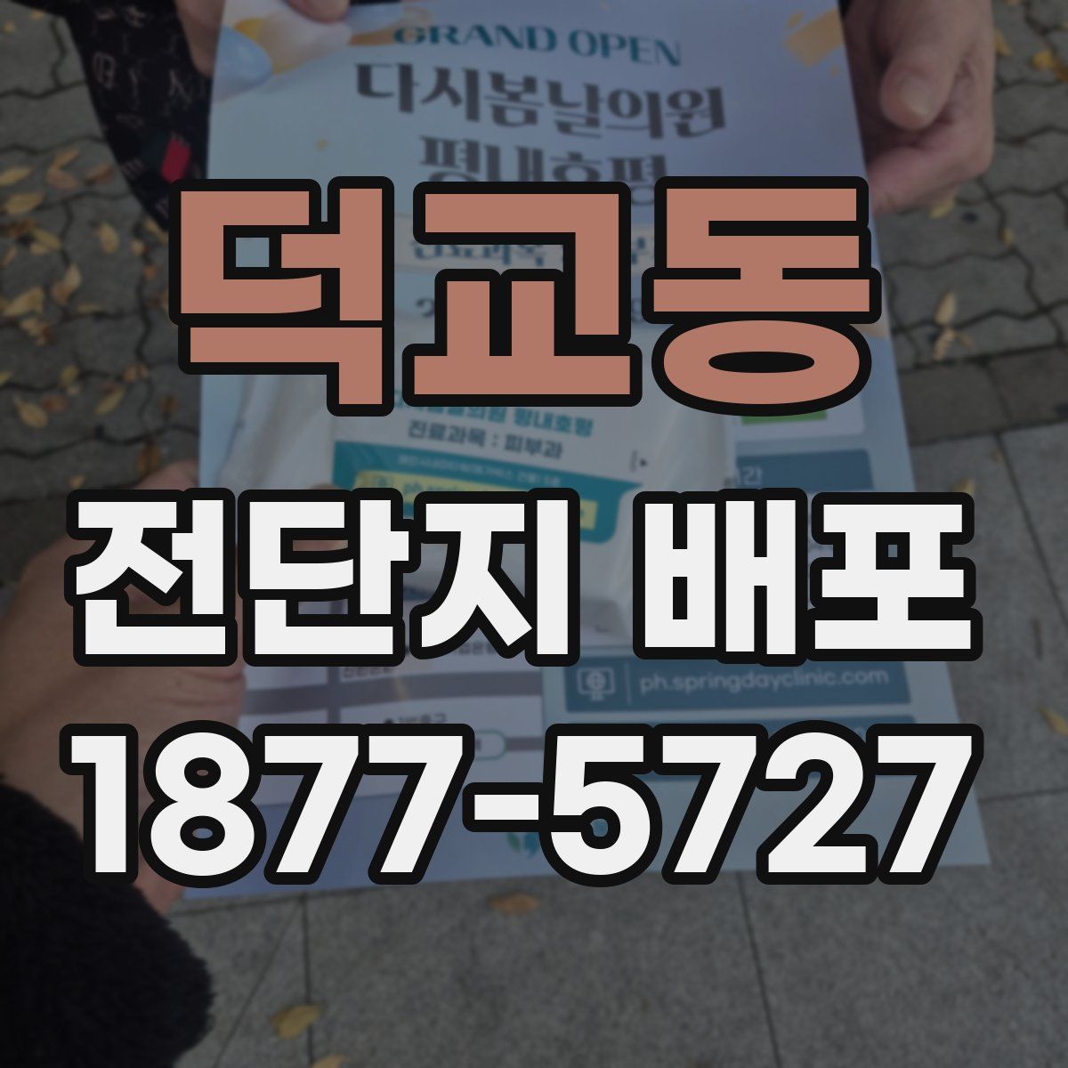 덕교동 전단지 배포