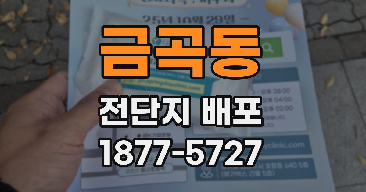 금곡동 전단지 배포