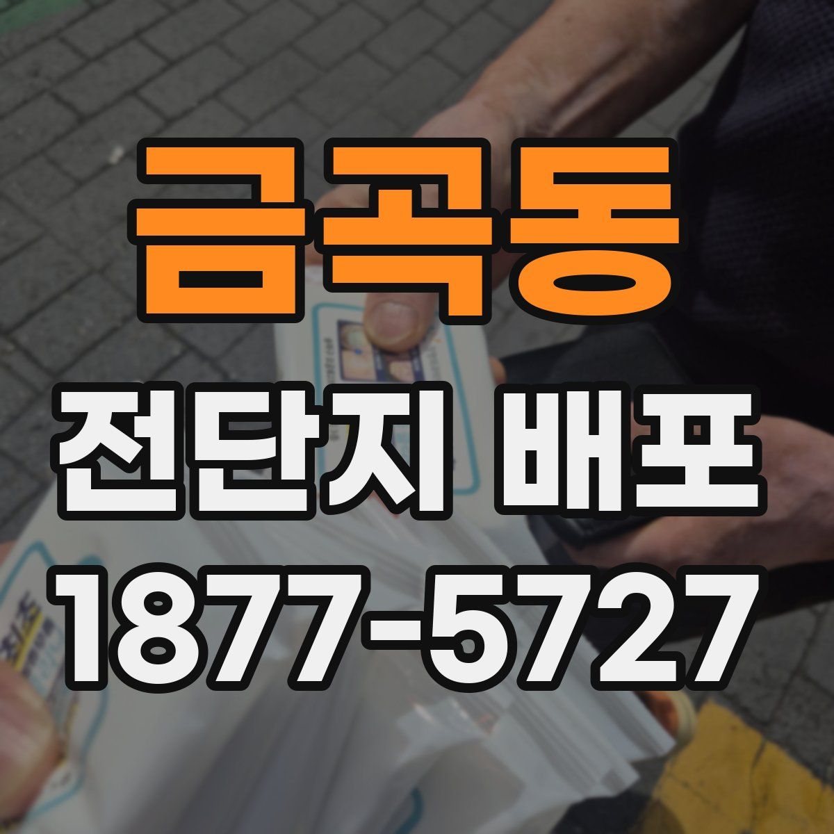 금곡동 전단지 배포