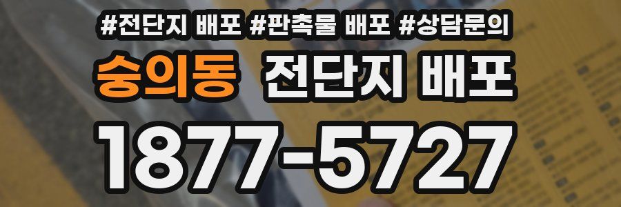 숭의동 전단지 배포